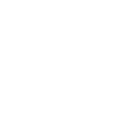 303 Denver Chiropractic Logo