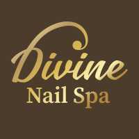 Divine Nail Spa Logo