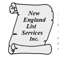 New England List Services Inc Logo