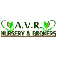 A.V.R. NURSERY & BROKERS CORP Logo
