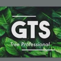 GTS Tree Professionals Logo