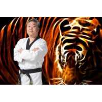 Dr. Tiger Bang's World Martial Arts Academy Logo