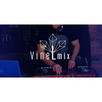 DJ VineLmix Logo
