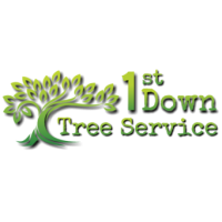 1st Down Tree Service Logo