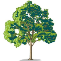 Trimmed Up Trees, Inc. Logo