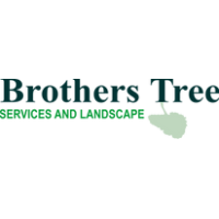 Brothers Tree Services & Landscape Logo