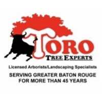 Toro Tree Experts Logo