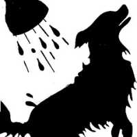 A Pet Spa Logo