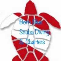 Born Blue Diving Charters, Inc. Logo