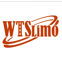WTS Limo - San Diego Limo Service Logo
