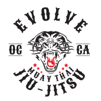 Evolve Checkmat Jiu Jitsu / Muay Thai Academy Logo