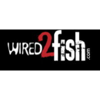Wired2fish Logo