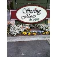 Spring Flowers Logo