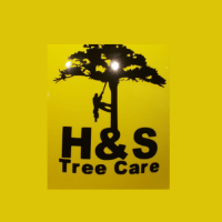 H & S Tree Care Logo