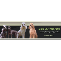 SSS Poodles Logo