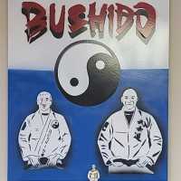 Bushido MMA and BJJ Academy Logo