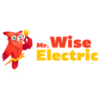 Mr. Wise Electric Logo