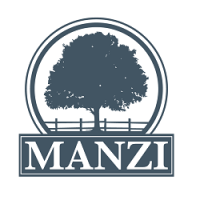 Manzi Insurance Logo