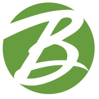 The Bernardi Group Logo