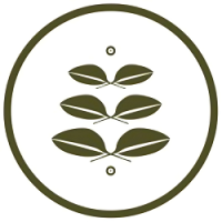 Costa Lifestyle Medicine Logo