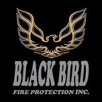Black Bird Fire Protection Inc. Logo