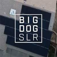 Big Dog Solar Energy Logo