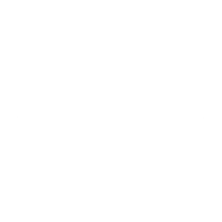 Savage Investment Consulting Logo