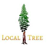 Local Tree Logo