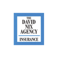 The David Nix Agency Logo