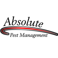Absolute Pest Management Logo