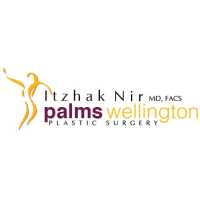 Palms Wellington Plastic Surgery : Itzhak Nir MD FACS Logo