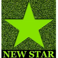 New Star Landscaping Contracting Logo