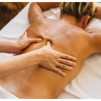 Nicky massage therapy Logo