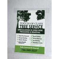 Touch of class Tree service Logo