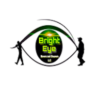 Bright Eye Movers and Cleaners Logo