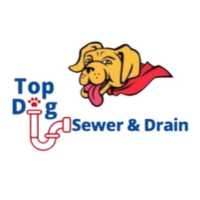 top dog sewer and drain cleaning Logo