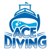 Ace Diving Miami Logo