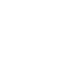 Audi Dublin Logo