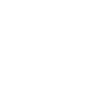 Aston Martin Boston Logo