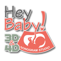 Hey Baby! Sonogram Logo