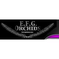E.F.G. Orchids Logo