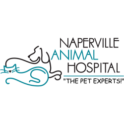 Naperville Animal Hospital