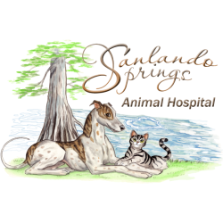 Sanlando Springs Animal Hospital