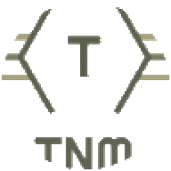 Tnm Construction LLC