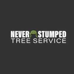 Never Stumped Tree Service