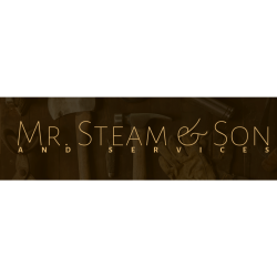 Mr. Steam & Son Services