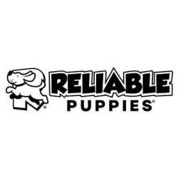 Reliable Puppies Llc