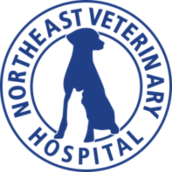 Northeast Veterinary Hospital