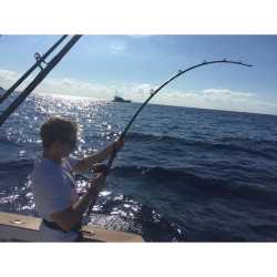 Dostay sportfishing Charters