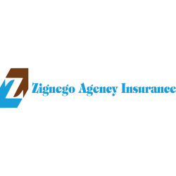 Zignego Agency Insurance